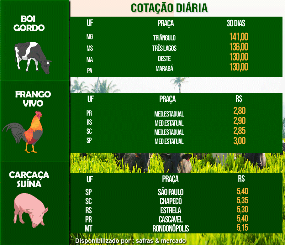 Indicadores